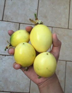 42460210_2204840346395633_5083684142365802496_n